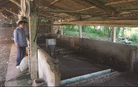 dich benh di qua nguoi dan dieu dung mong duoc ho tro.jpg