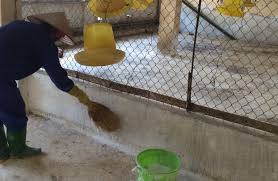 ve sinh moi truong sau dai dich de tai dan can ho tro quy trinh ro rang.jpg